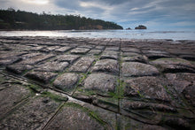 Tessellated Pavement Earrings
