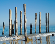 Port Willunga Jetty Necklace