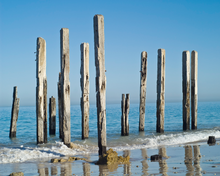 Port Willunga Jetty Earrings