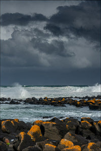 Mike's Fine Art Prints