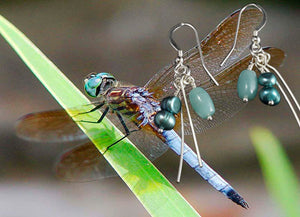 Dragonfly. Blue Earrings