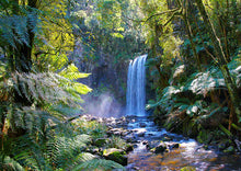 Waterfall, Otways Rainforest Earrings